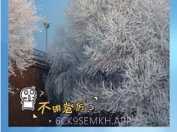 墨迹相机v2.6截图