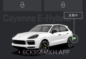 保时捷智联v2.3.8截图