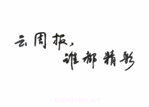 工作周报v1.0.13截图