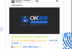 OK语音v1.9截图