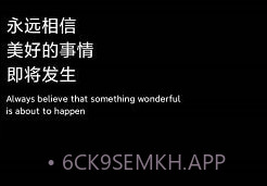 DB翻译器v1.9.9.12截图