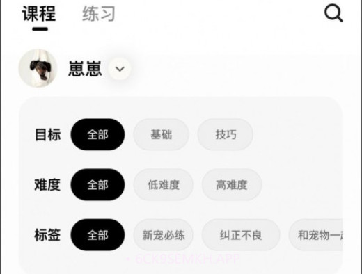 宠物记v1.0.12截图