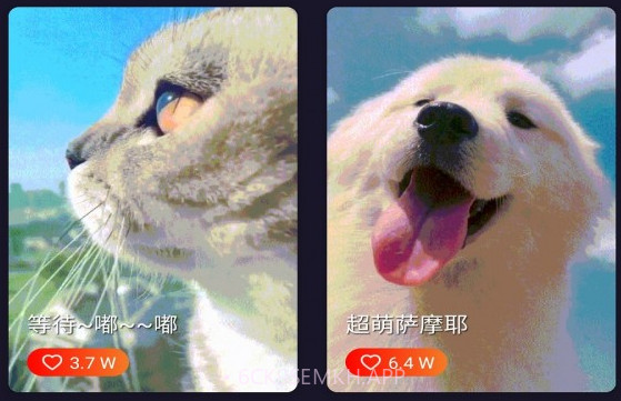 灿烂来电秀v1.0.12截图