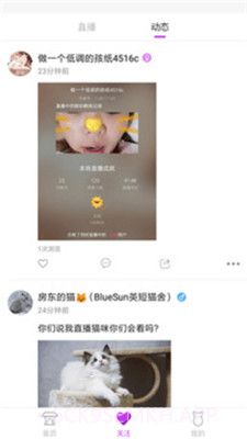 狐聊直播1.3.6截图