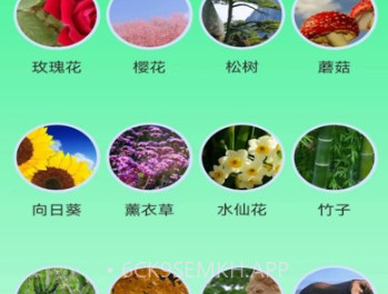 绿野乐园v1.0.9截图