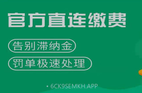 查驾驶证扣分v1.0.11截图