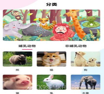 最强动物园v1.13截图