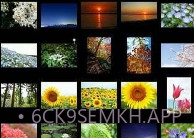 NIKON IMAGE SPACEv4.7.8截图