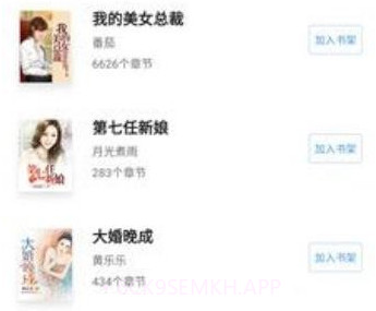 丝文网v1.3.12截图