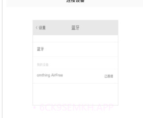 omthingv2.45截图