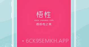 悟性V2.8截图