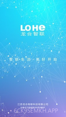 龙合智联v1.0.13截图