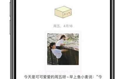 呆小记v1.8截图