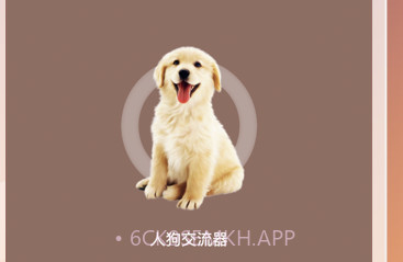 和狗对话v1.8截图