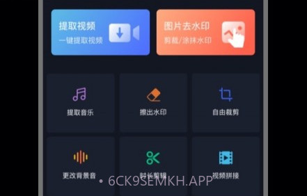 抖快去水印助手v1.0.11截图