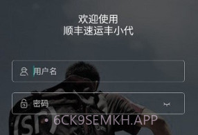 顺丰丰小代v3.0.10截图