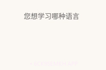 单词卡片制作V3.11.5截图