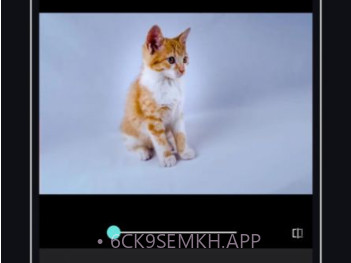 PicsDazz修图v1.9截图