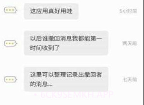 微信强制撤回消息工具v2.0.10截图