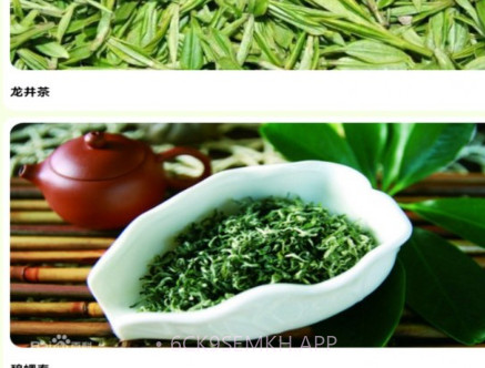我的茶园v1.0.7截图