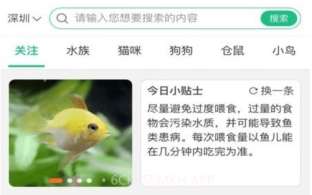 武点宠物v1.0.5截图
