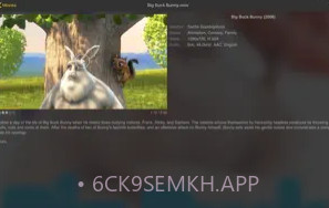 nPlayerV1.5.5.5截图