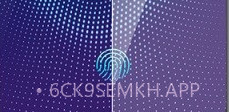 指纹与密码v12.8截图