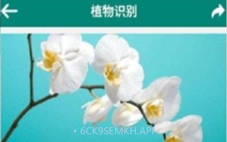 银河植物识别扫描v8.0.12截图