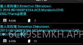 P搜V6.9截图