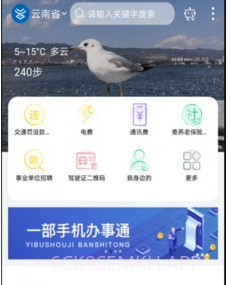智慧丽江办事通v2.0.13截图
