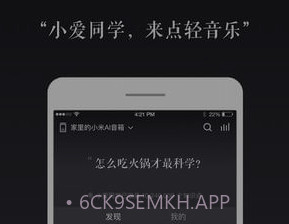 小爱语音助手通用版v1.2.6截图