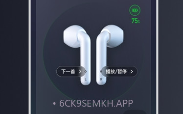 iFLYBUDSV3.1.8截图