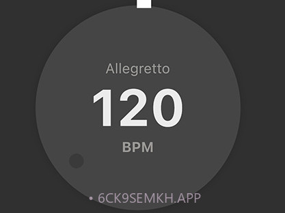 琵琶调音器PROv3.3.13截图
