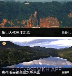 奥维卫星街景地图v1018鐎瑰宕渧1.7截图