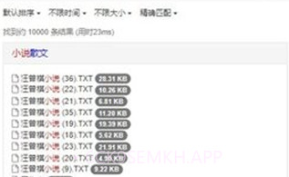 吴签磁力2024V2鐎瑰宕渧1.3截图