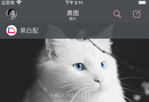 墨客v1.4.4截图