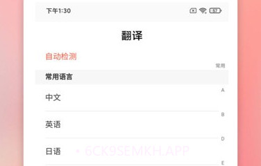 慎行翻译v18273.1283.8截图