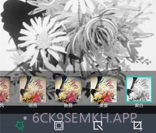 美人萌图相机v4.0.11截图