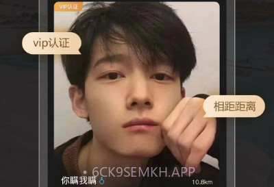 他陪旅行v1.0.4截图