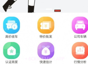 车皇人二手车平台v1.0.8截图