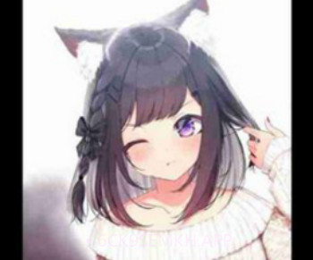 konachan(konachan汉化)V1.9 安卓免费版v0.9截图