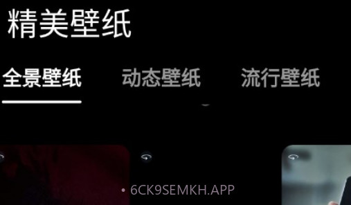皮卡充电壁纸v1.0.12截图