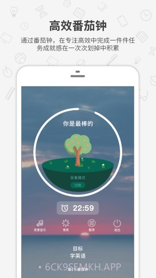 番茄森林v1.0.14截图