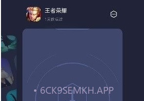 真我游戏助手老版本v1.1.8截图