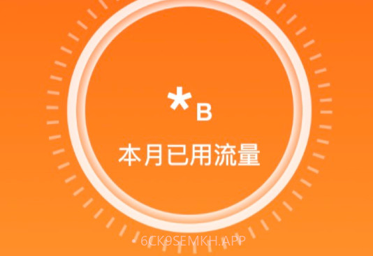 海星流量v2.0.11截图