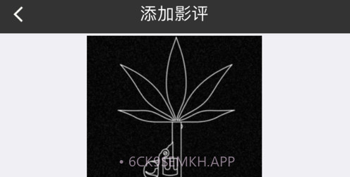 豌豆影评v1.13截图