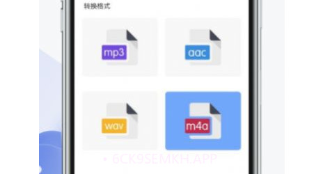 语音转文字神器v1.9截图