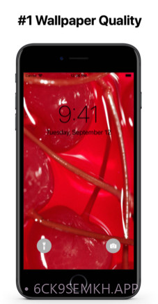 AestheticsWallpapersv1.0.10截图