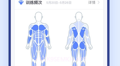 OneMore(健身数据分析)V1.0.8截图