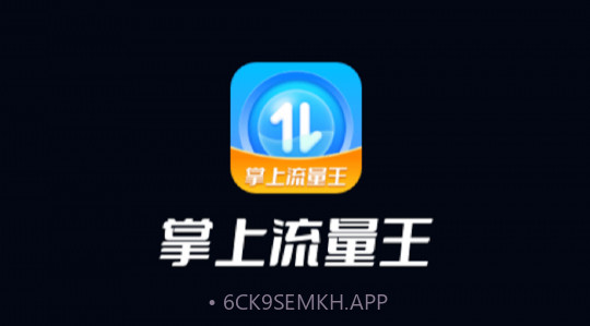 掌上流量王V1.0.10截图